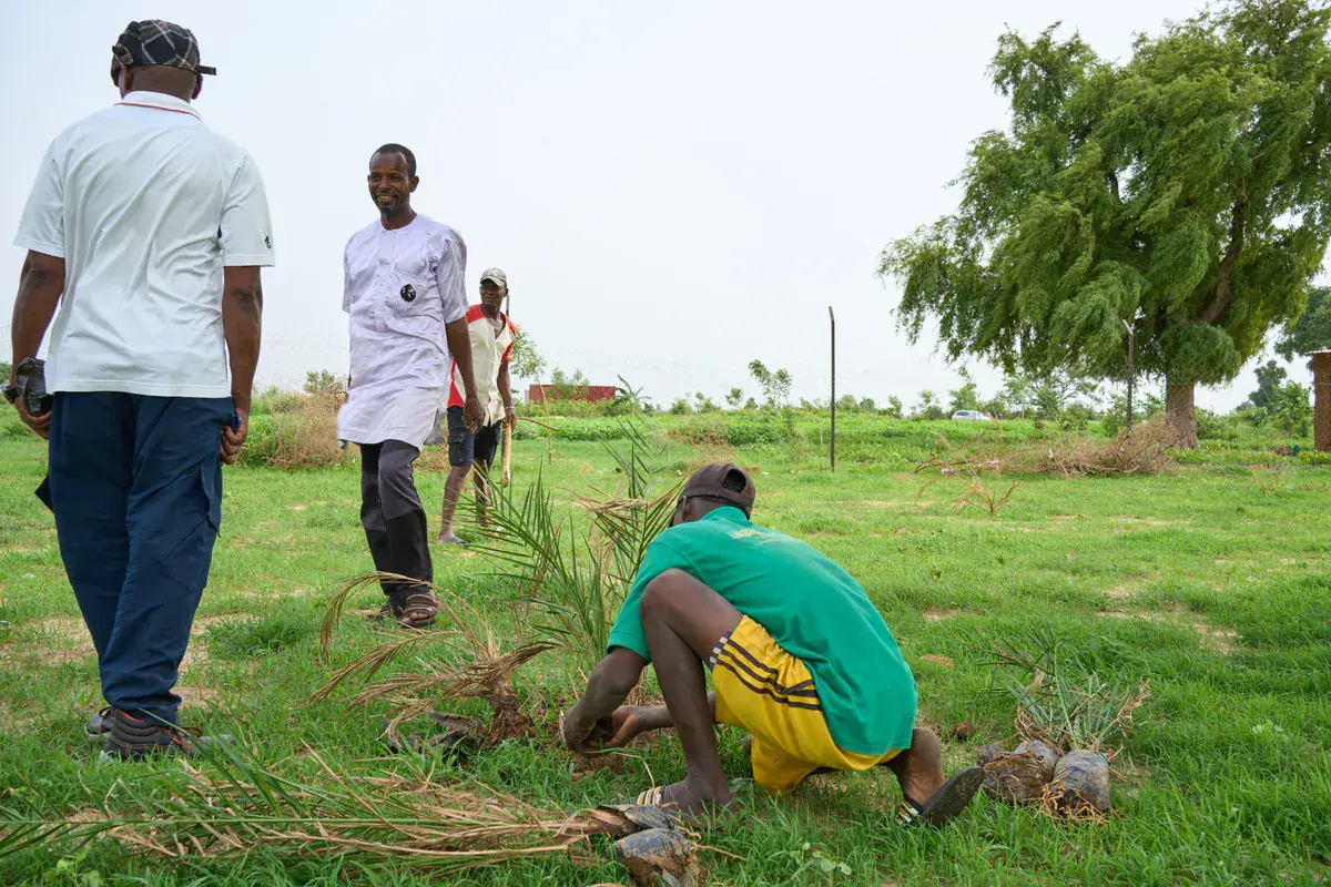 Community workers planting seedlings on green farmland
